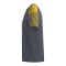 Erima Evo Star T-Shirt Kids Grau Fslategreygelb - grau