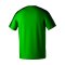 Erima Evo Star T-Shirt Kids Grün Fsmaragdpinegrove - gruen