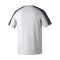 Erima Evo Star T-Shirt Weiss - weiss