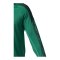 Erima EVO STAR Trainingsshirt Grün F1262403 - gruen