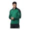 Erima EVO STAR Trainingsshirt Grün F1262403 - gruen