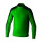 Erima Evo Star Trainingsjacke Grün - gruen