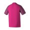 Erima Evo Star Trikot Pink Grau - rosa