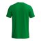 Erima INTRO function T-Shirt Grün F2082630 - gruen
