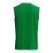 Erima INTRO function Tanktop Grün F2082620 - gruen