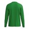 Erima INTRO function Trikot Langarm Grün F2332612 - gruen