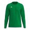 Erima INTRO function Trikot Langarm Grün F2332612 - gruen