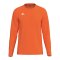 Erima INTRO function Trikot Langarm Orange F2332615 - orange