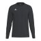 Erima INTRO function Trikot Langarm Schwarz F2332609 - schwarz