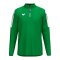 Erima INTRO Training Sweatshirt Grün F1262606 - gruen