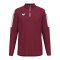 Erima INTRO Training Sweatshirt Rot F1262609 - rot