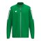 Erima INTRO Trainingsjacke Grün F1032648 - gruen