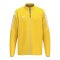 Erima INTRO Trainingsjacke Kids Gelb F1032650 - gelb