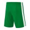 Erima Retro Star Short Grün Weiss - gruen