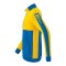 Erima SIX WINGS Trainingsjacke Blau Gelb - blau