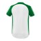 Erima Six Wings Trikot Weiss Smaragd - weiss