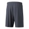Erima Team Short Grau - grau