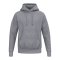 Erima TS Hoody Grau - grau