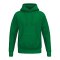 Erima TS Hoody Grün - gruen