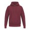 Erima TS Hoody Rot - blau