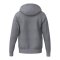 Erima TS Kapuzenjacke Grau - grau