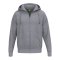 Erima TS Kapuzenjacke Grau - grau