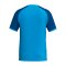 Erima WINGS Trikot Kids Blau F3132605 - blau