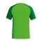 Erima WINGS Trikot Kids Grün F3132606 - gruen
