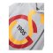 Galatasaray Istanbul Big Logo Sweatshirt Kids Grau - grau