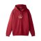 Galatasaray Istanbul Hoody Rot - rot