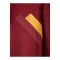 Galatasaray Istanbul Hoody Rot - rot