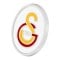 Galatasaray Istanbul Logo Abzeichen Accessoire Gold - gold