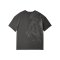 Galatasaray Istanbul T-Shirt Grau - grau