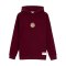 GSSTORE X Reflect Studio Lion Hoody Rot - rot