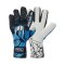HO Soccer Pro Evolution II NG Handschuhe Blau - blau