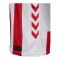 Hummel 1. FC Köln Trikot Home 2025/2026 Kids Weiß F9402 - weiss