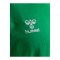 Hummel AUTHENTIC CO T-Shirt Grün F6235 - gruen