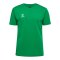 Hummel AUTHENTIC CO T-Shirt Grün F6235 - gruen