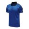 Hummel Authentic Functional Poloshirt F7045 - blau