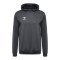 Hummel AUTHENTIC PL Hoody Grau F1525 - grau