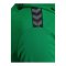 Hummel AUTHENTIC PL Hoody Grün F6235 - gruen