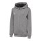 Hummel AUTHENTIC PL Kapuzenjacke Kids Grau F2006 - grau