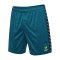 Hummel Authentic Pl Short Blau F7058 - blau
