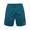 Hummel Authentic Pl Short Blau F7058 - blau