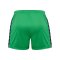 Hummel AUTHENTIC PL Short Damen Grün F6235 - gruen