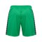 Hummel Authentic Pl Short Grün F6235 - gruen