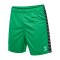 Hummel Authentic Pl Short Grün F6235 - gruen