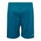 Hummel AUTHENTIC PL Short Kids Blau F7058 - blau