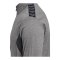 Hummel AUTHENTIC PL Trainingsjacke Grau F2006 - grau