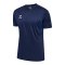 Hummel AUTHENTIC PL Trikot Blau F7026 - blau